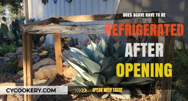 Does Agave Need Refrigeration After Opening? Storage Tips Revealed