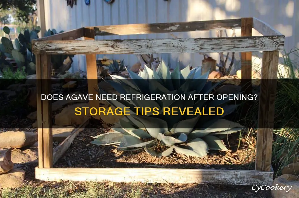 does agave have to be refrigerated after opening