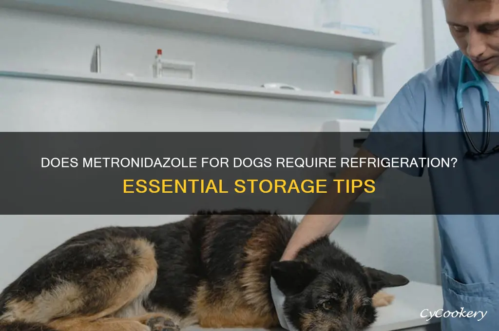 does all metronidazole for dogs have to be refrigerated