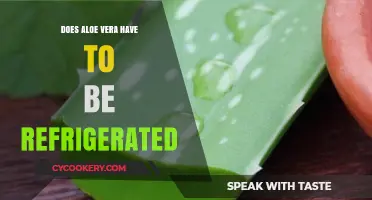 Should Aloe Vera Be Refrigerated? Storage Tips for Freshness and Effectiveness