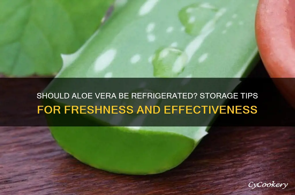 does aloe vera have to be refrigerated