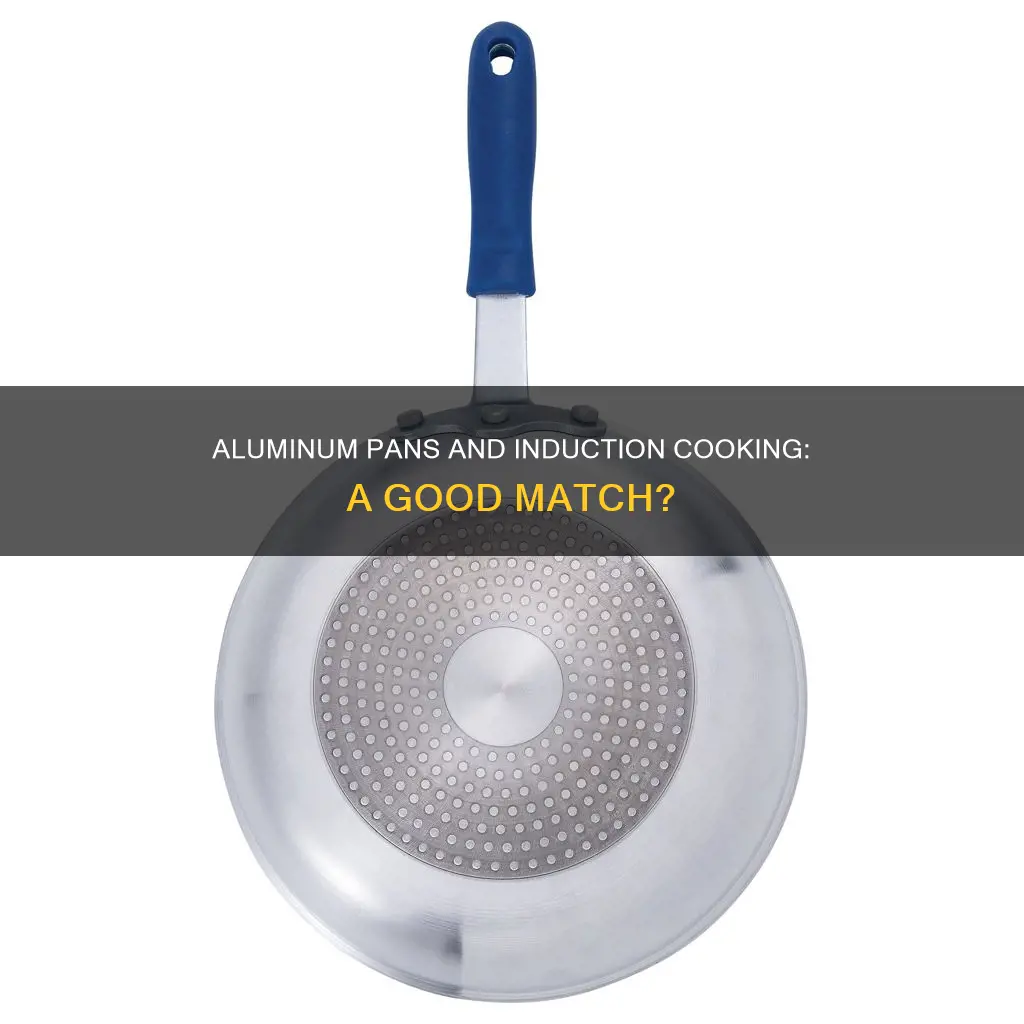 does aluminium pans work on induction