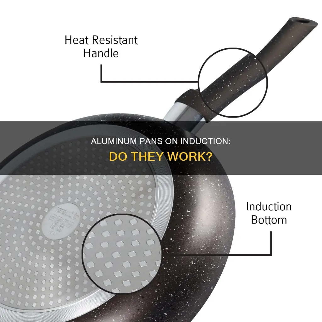 does aluminum pan work on induction