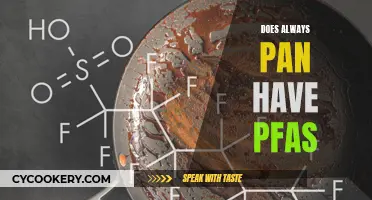 Always Pan: PFAS-Free?