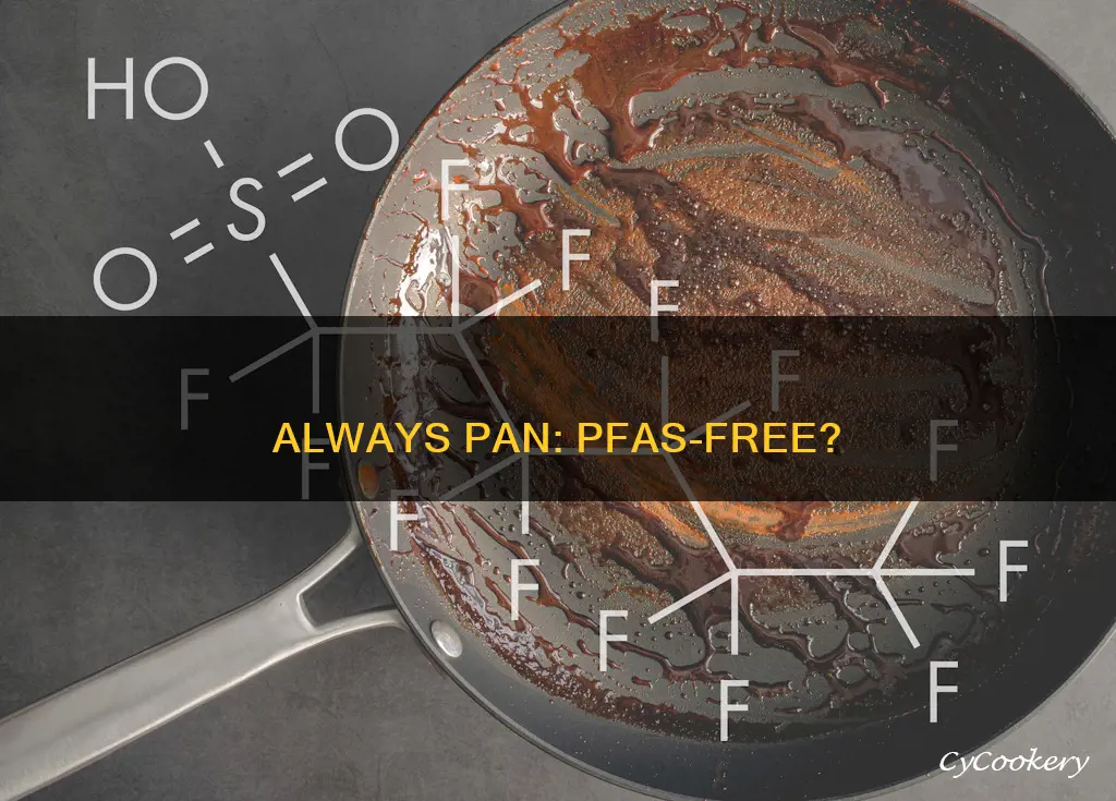 does always pan have pfas