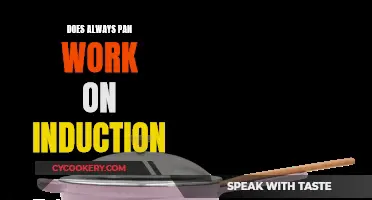 Always Pan and Induction Cooking: A Perfect Match?