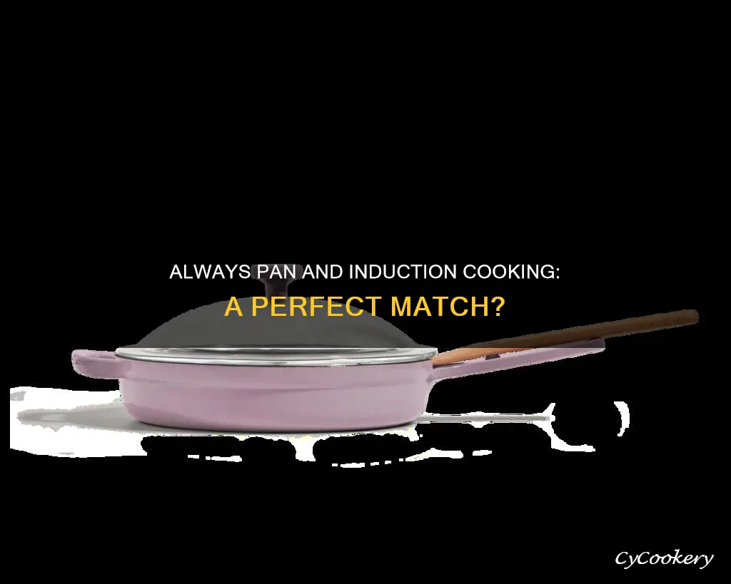 does always pan work on induction