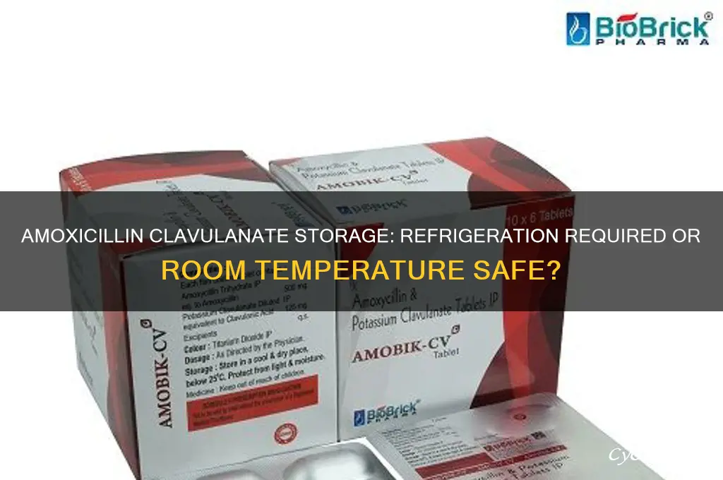 does amoxicillin clavulanate have to be refrigerated