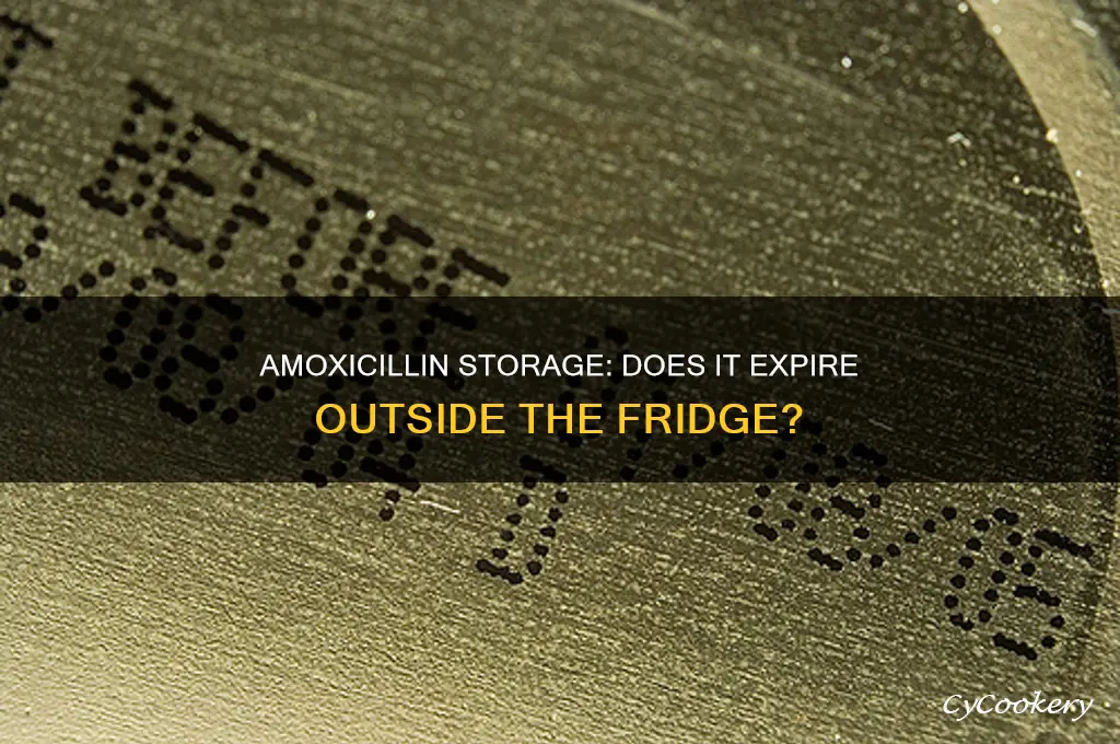 does amoxicillin go bad if left out refrigerator