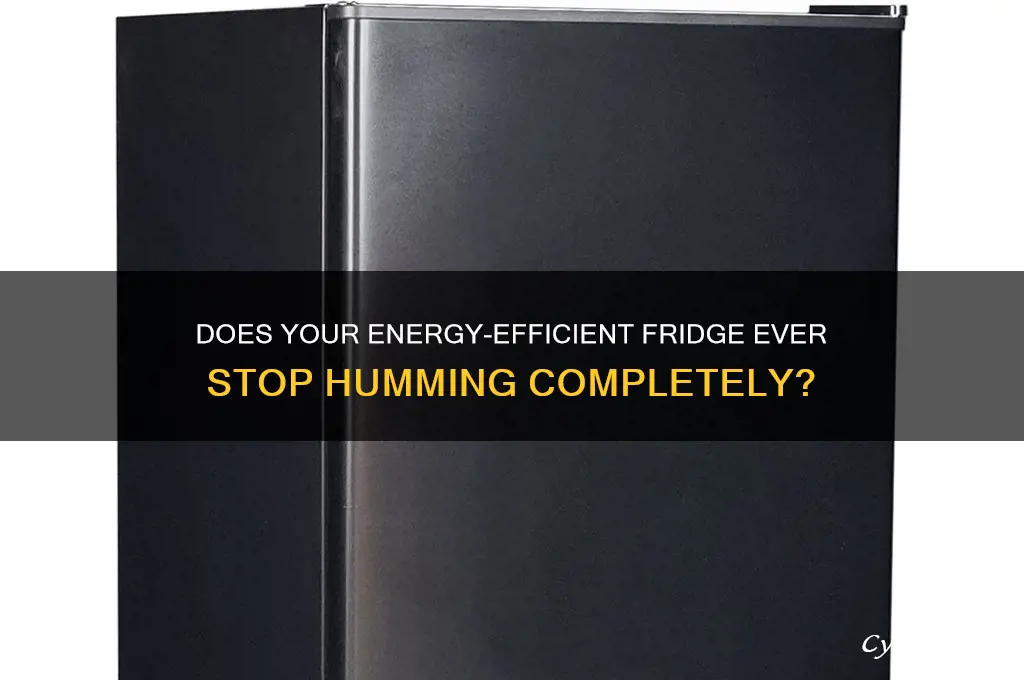 does an energy saving refrigerator ever go completely quiet
