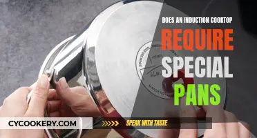 Induction Cooktops: Do You Need Special Pans?