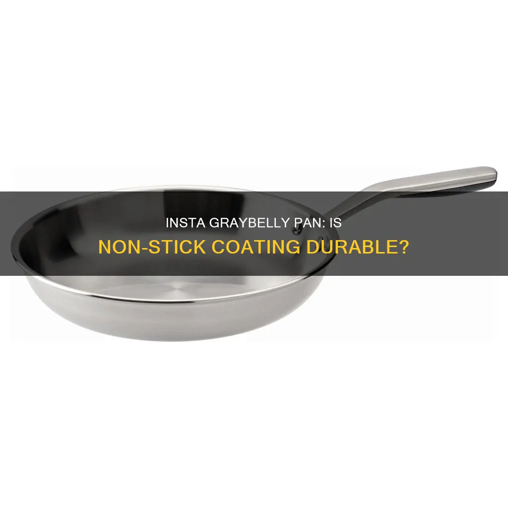 does an insta graybelly pan hold