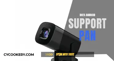Android's PAN Support: What You Need to Know