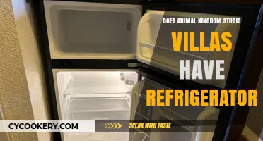 Animal Kingdom Studio Villas: Refrigerator Availability and Amenities Explained