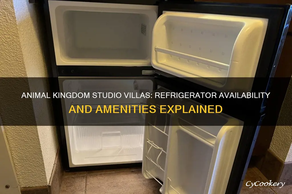 does animal kingdom studio villas have refrigerators