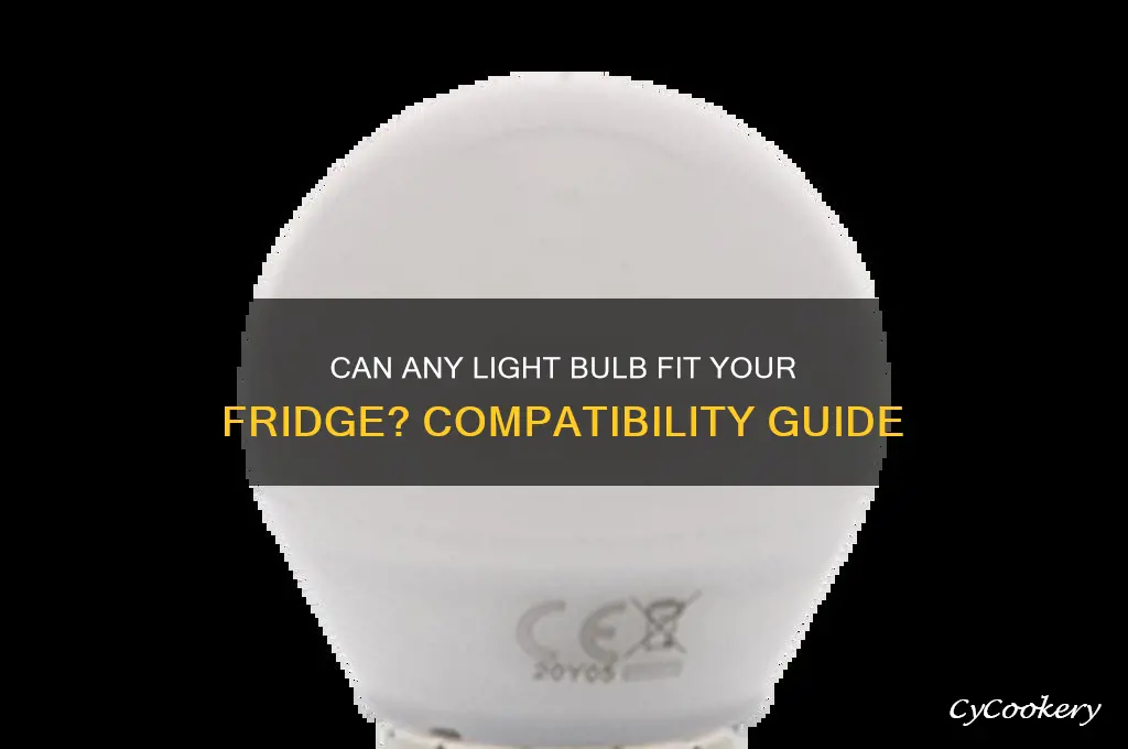 does any light bulb fits a refrigerator