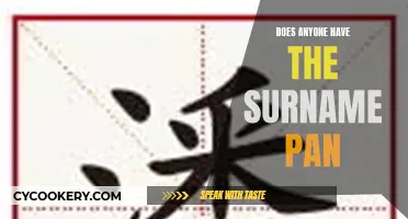 The Origin and Meaning of the Surname Pan