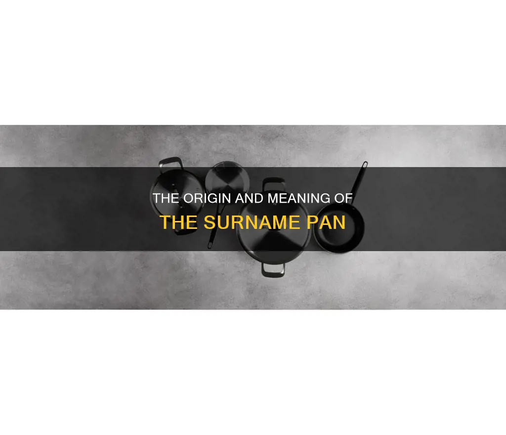 does anyone have the surname pan