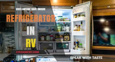 Unique RV Refrigerators: Exploring Creative Cooling Solutions on the Road