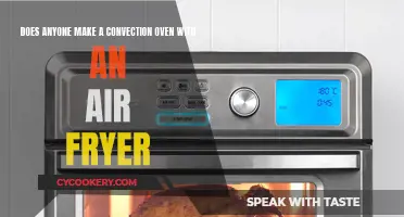 Convection Ovens with Air Fryers: Worth the Hype?