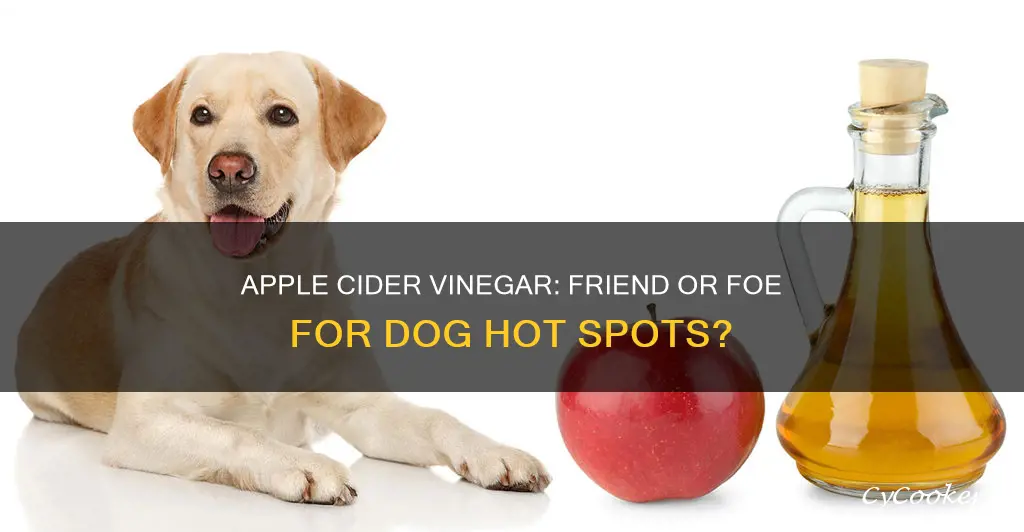 does apple cidar vinegar cure hot pots on dogs