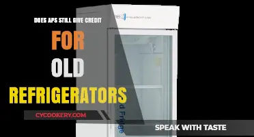 Does APS Still Offer Credit for Old Refrigerators? Find Out