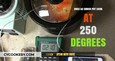 Crock Pot Cooking: 250 Degrees, What's the Deal?