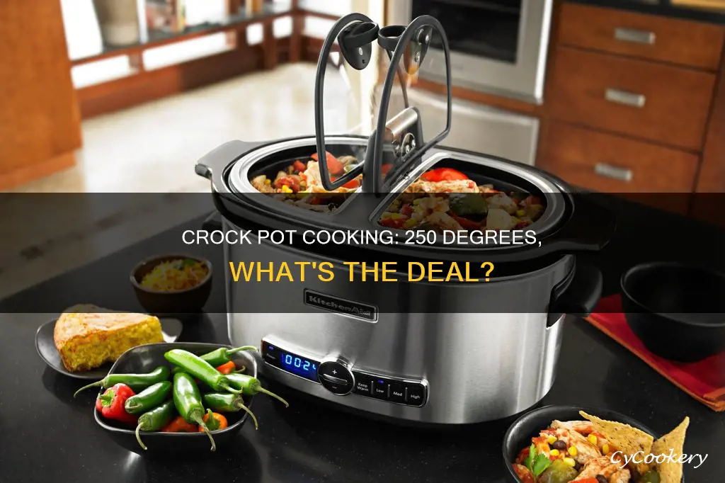 does as crock pot cook at 250 degrees