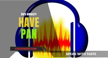 Audacity's Panning: Stereo Sound and Beyond