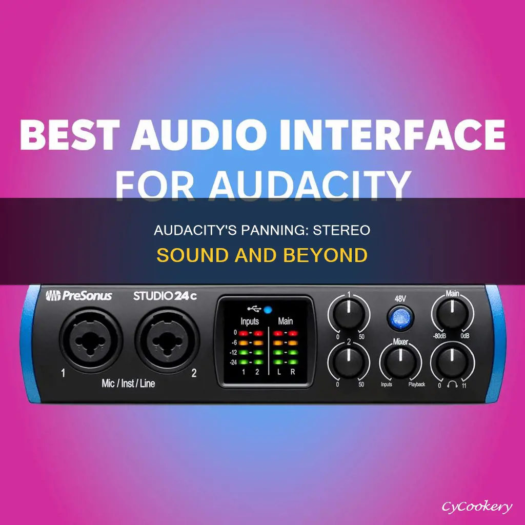 does audacity have pan