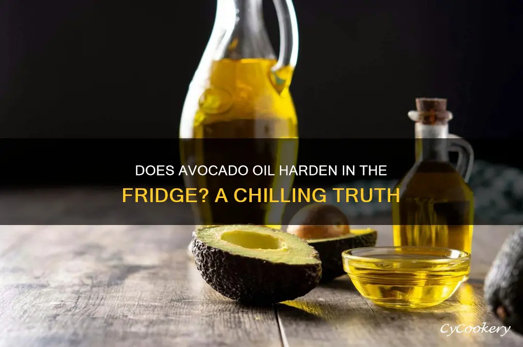 does avocado oil solidify in the refrigerator