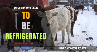Does B12 for Cows Require Refrigeration? Essential Storage Tips