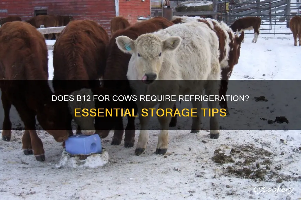 does b12 for cows have to be refrigerated
