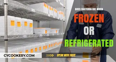 Freezing vs. Refrigerating: What Happens to Bacteria in Cold Storage?