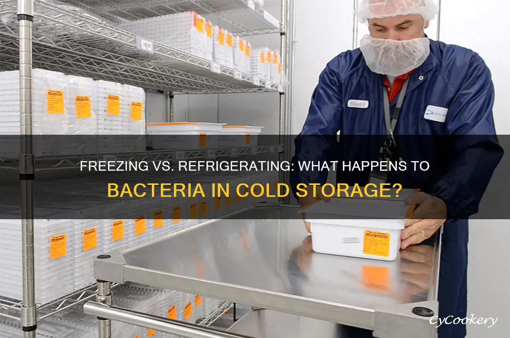 does bacteria die when frozen or refrigerated