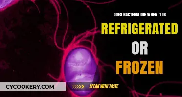 Refrigeration vs. Freezing: How Cold Temps Affect Bacterial Survival