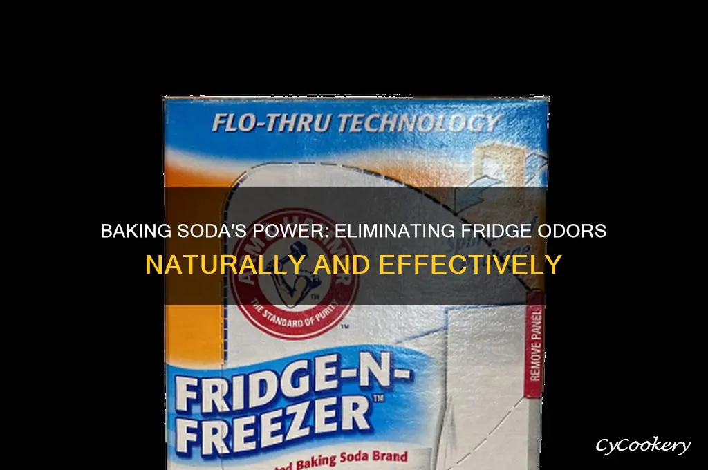 does baking soda absorb odors in the refrigerator