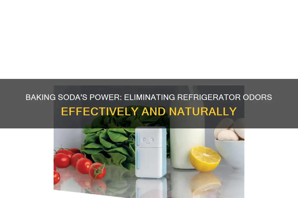 does baking soda help with refrigerator odor