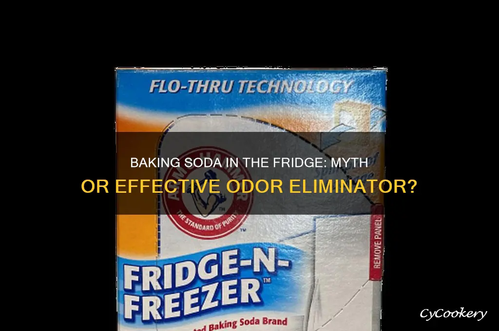 does baking soda in the refrigerator really work