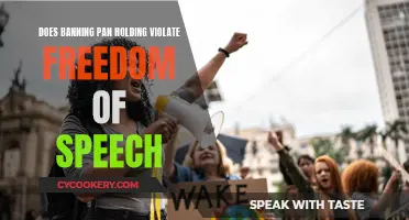 Pan-Handling Bans: Free Speech or Public Safety?