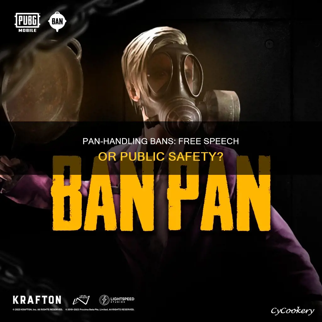 does banning pan holding violate freedom of speech