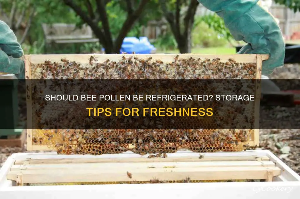 does bee pollen have to be refrigerated