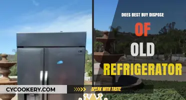 Does Best Buy Dispose of Old Refrigerators? Eco-Friendly Options Explained