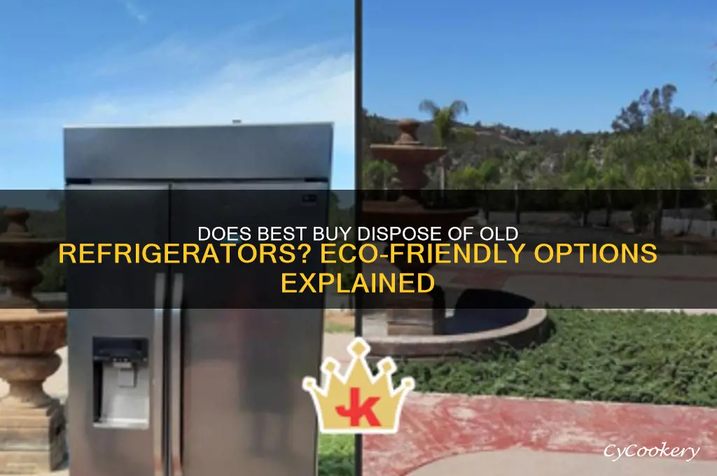 does best buy dispose of old refrigerators