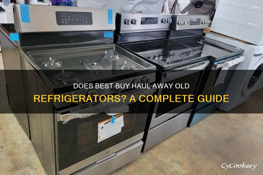 does best buy haul away old refrigerator