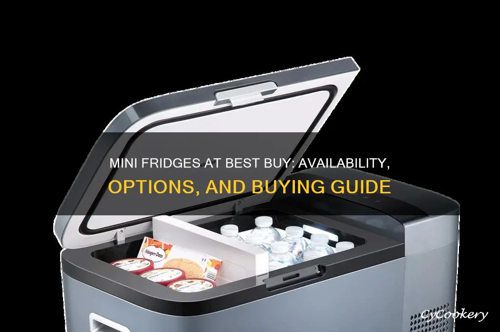 does best buy have any mini refrigerators