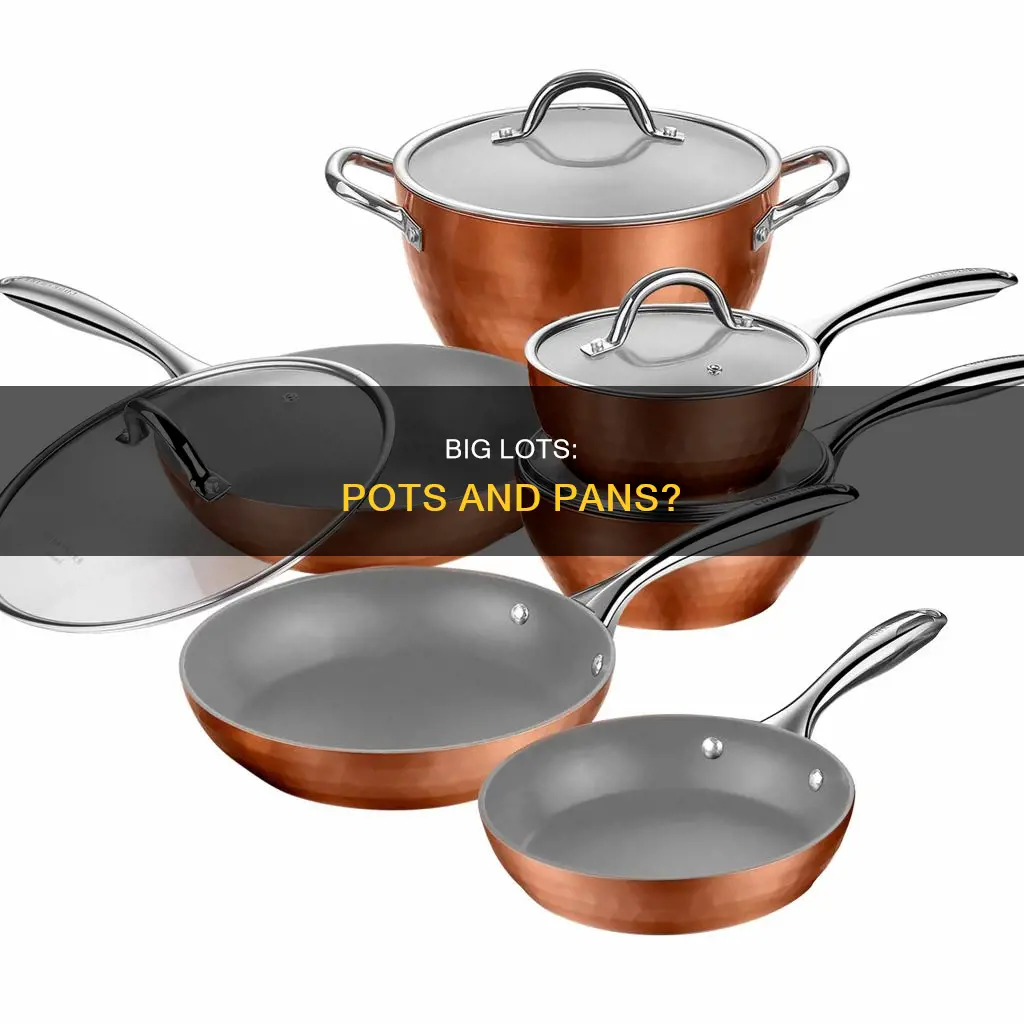 does big lots sell pots and pans