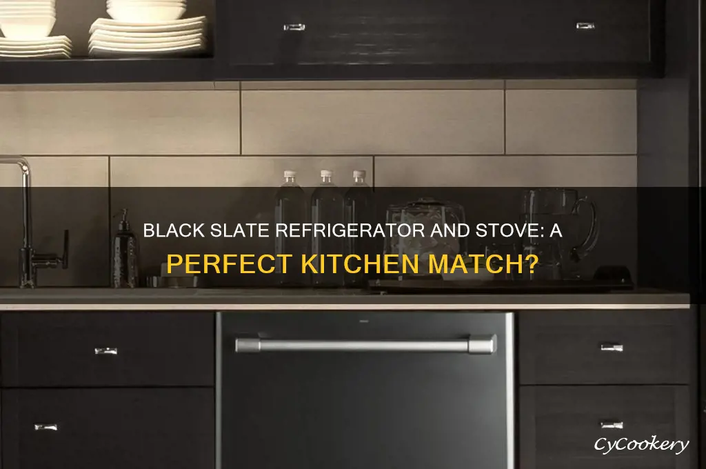 does black slate refrigerator match black stove
