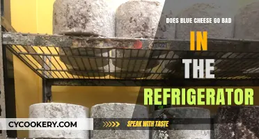 Does Blue Cheese Go Bad in the Fridge? Storage Tips Revealed