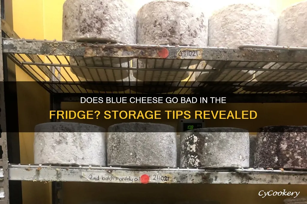 does blue cheese go bad in the refrigerator